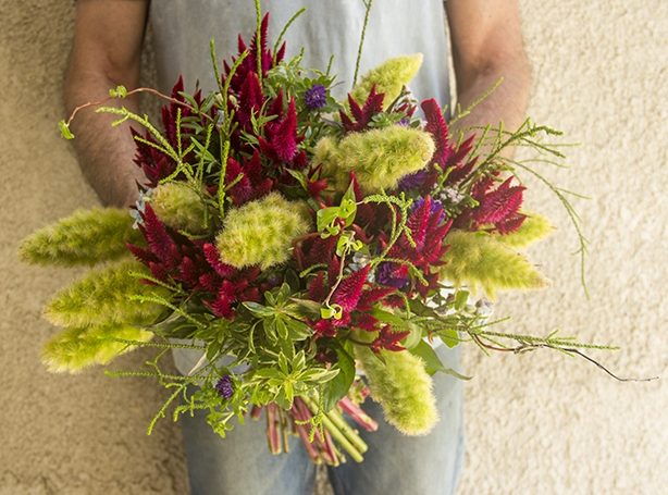 זר כלה -הזר של תום