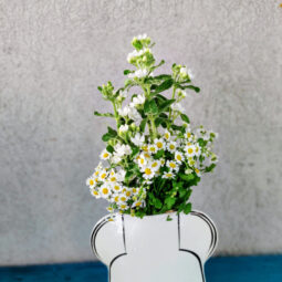 סידור פרחים - שמלה לבנה ובבונג