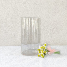 אגרטל זכוכית - צילינדר