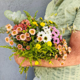 זר פרחים - חרציות