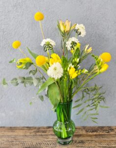 אגרטל - דוץ ירוק