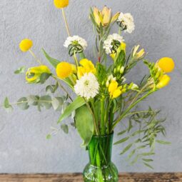 אגרטל - דוץ ירוק