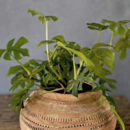 אגרטל - קרמיקה אתני ענק