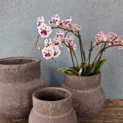 אגרטל - קרמיקה פאג'ו מודרני